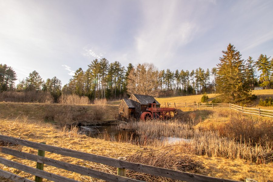 Guildhall VT Century 21 Farm and Fоrest